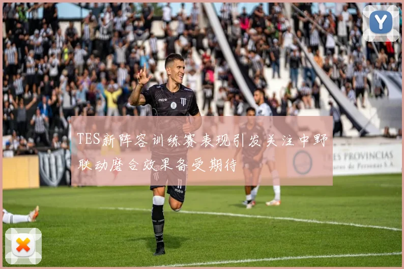 TES新阵容训练赛表现引发关注中野联动磨合效果备受期待