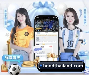aoa网页版入口 APP 深度功能