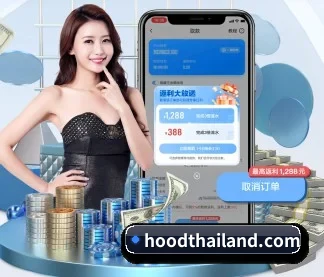 aoa网页版入口 APP