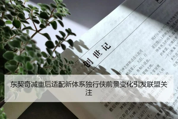 东契奇减重后适配新体系独行侠前景变化引发联盟关注