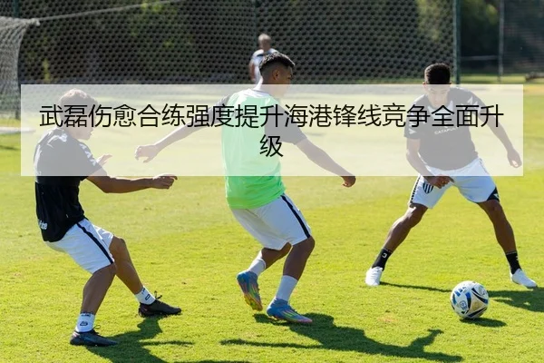 武磊伤愈合练强度提升海港锋线竞争全面升级
